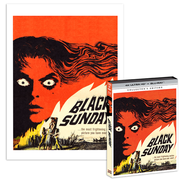 Sunday B モナリザ Black on Vellum/ポスター Sunday B モナリザ Black on Vellum/ポスター - メルカリ