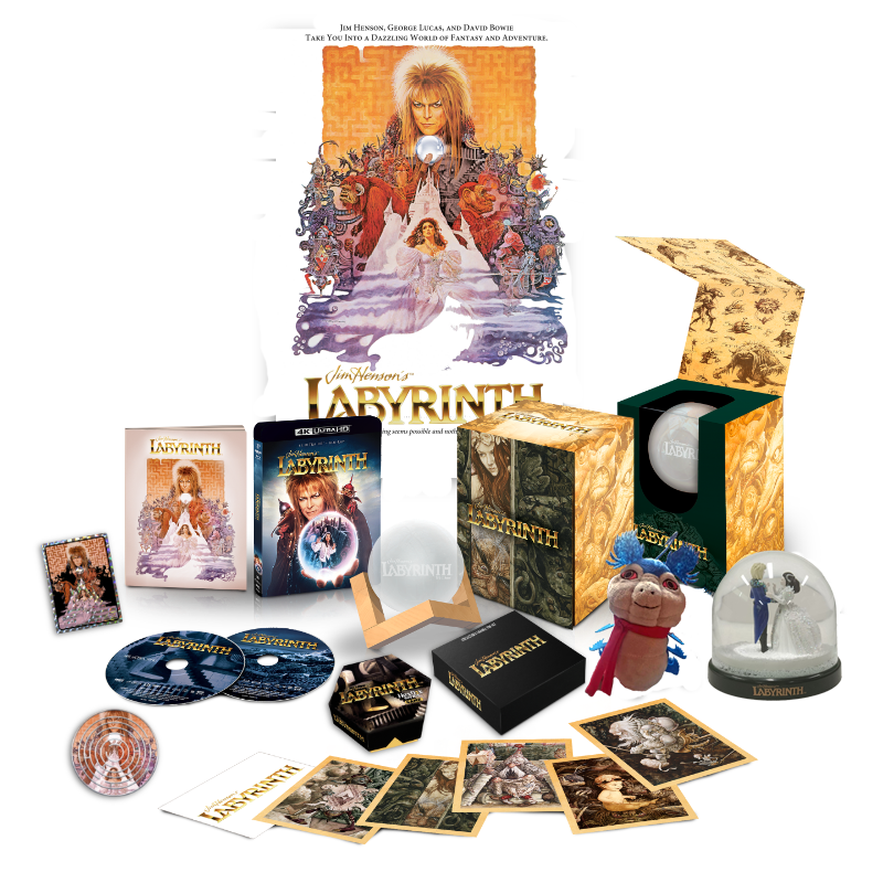 Labyrinth [Deluxe Limited Edition Collector's Set]