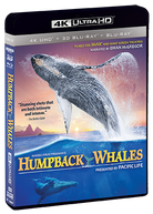 Humpback Whales - Shout! Factory