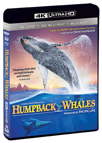 Humpback Whales - Shout! Factory