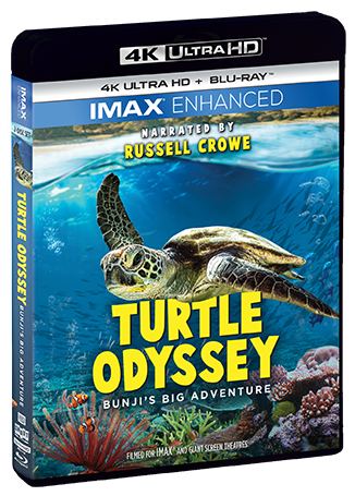 Turtle Odyssey - Shout! Factory