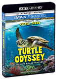 Turtle Odyssey - Shout! Factory