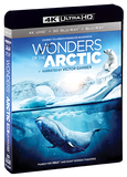 Wonders Of The Arctic - Shout! Factory